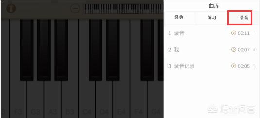 弹钢琴软件,可以跟着弹的钢琴电脑软件？