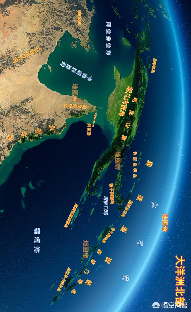 地中海孟加拉猫舍:两个月大的豹猫爱咬人怎么办？ 德国比较好的布偶猫舍