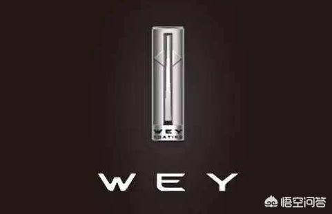 WEY是什么车，咋样？我感觉路上越来越多了？:wey是什么意思 第4张