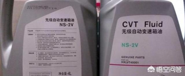 西施犬寿命近30天搜索趋势:CVT变速箱的寿命有多长？能跑到30万公里或使用15年吗？