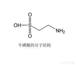 法国皇家狗粮官方网站:家里准备养一只泰迪，哪个牌子狗粮适合泰迪？ 法国皇家狗粮代理
