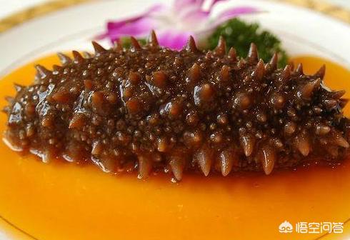 具有养生功效的饰品,高端滋补养生的补品有哪些好选择？