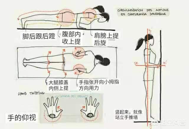 四柱哪一柱力量最大,瑜伽四柱支撑该如何发力？