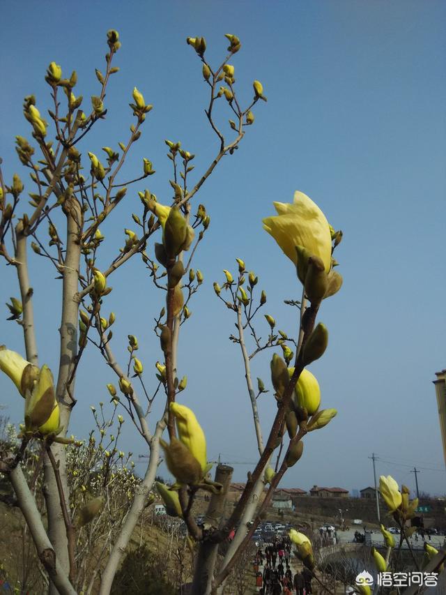 头条问答 - 2019年太原圪僚沟景区好玩吗?(3个回答)