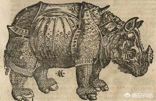 犀牛属不属于牛科，犀牛的冲撞力非常猛，古代打仗为什么不驯养用它来撞城门