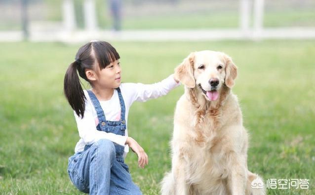 小孩 狗:孩子和狗狗相处需要注意什么？