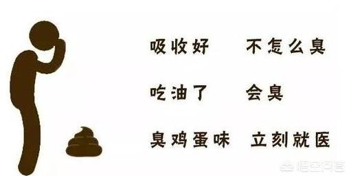 狗狗健康检查包括哪些:不想总带狗狗上医院体检，日常怎么观察狗狗是否保持健康呢？