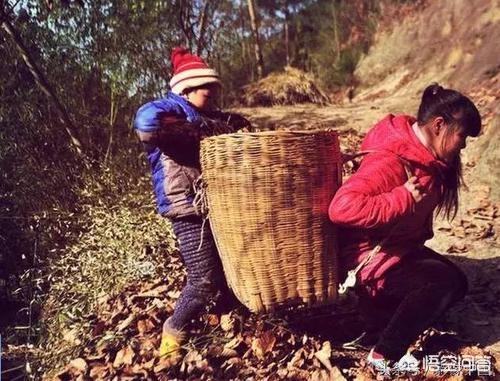 小茹和黄狗驴交小说:农业的土地性质有哪几类？