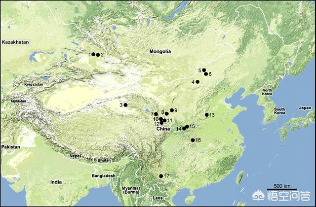 帕兰巨食人鱼:1000万年前的史前动物除了恐龙，都还有哪些