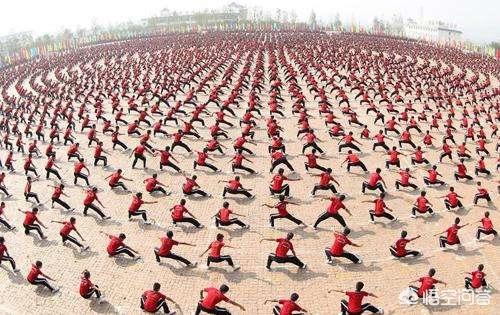 河南塔沟武校在全国武校属于什么水平？