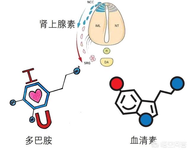 好心态阳光微信昵称简单有内涵:工作是一直在一个公司好，还是跳槽好