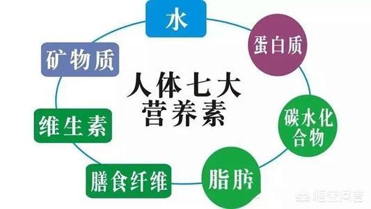 膳食纤维最高的食物是谷类吗？