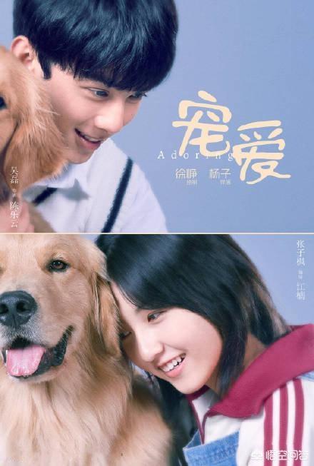 吴磊张子枫:如何评价“吴磊张子枫劈叉抱”？