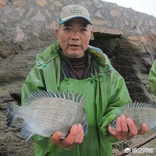 黄油小熊是谁:知道这个小熊叫什么名字吗？