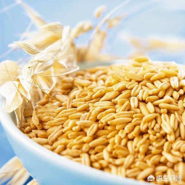 燕麦和藜麦的营养价值有哪些？不想吃藜麦,用燕麦加什么食物可以比吃藜麦效果好？