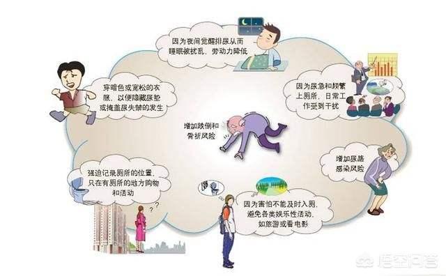 膀胱结石症状预防:猫膀胱结石，多喝水会预防吗？