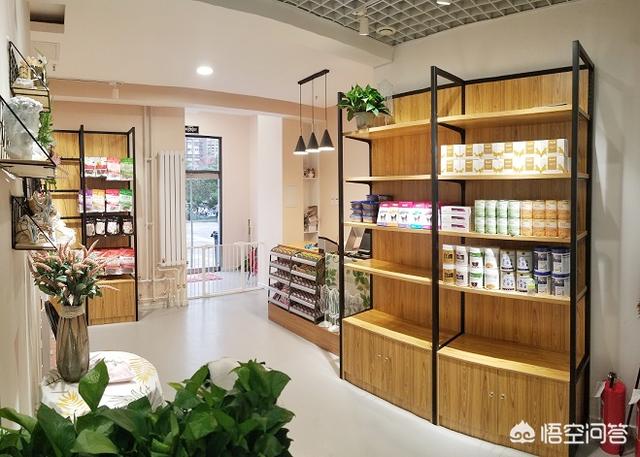 另类宠物店创业方案哪里能买到:帮忙遛狗，宠物寄养，还有哪些奇葩的创业方式？