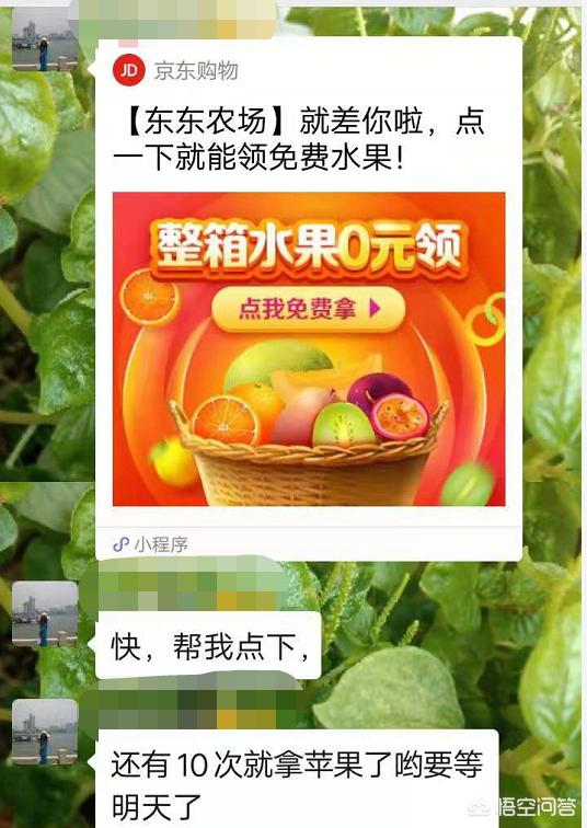 为什么<a href=https://maguai.com/personal/ target=_blank class=infotextkey><a href=https://maguai.com/group/ target=_blank class=infotextkey><a href=https://maguai.com/personal/ target=_blank class=infotextkey><a href=https://maguai.com/group/ target=_blank class=infotextkey>微信群</a></a></a></a>里总是有那么多人发小程序(<a href=https://maguai.com/personal/ target=_blank class=infotextkey><a href=https://maguai.com/group/ target=_blank class=infotextkey><a href=https://maguai.com/personal/ target=_blank class=infotextkey><a href=https://maguai.com/group/ target=_blank class=infotextkey>微信群</a></a></a></a>老有人发小程序)