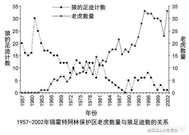狗斗狼视频:狗是从狼驯化来的，为什么绝大部分狗打不过狼？ 狗狼大战真实视频