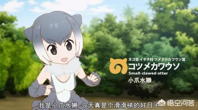 兽耳动物园薮猫本子:可以推荐几部科普番吗，谢谢？