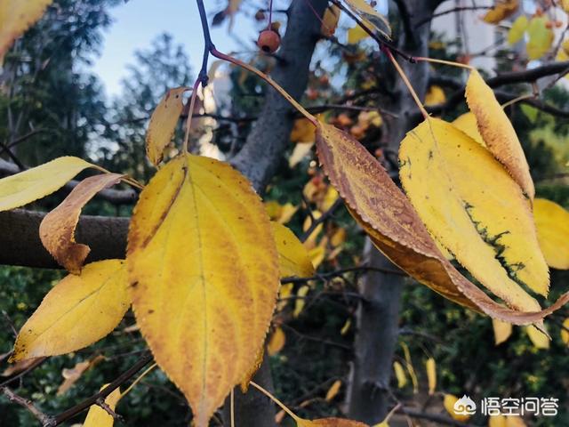 <a href=https://maguai.com/list/256-0-0.html target=_blank class=infotextkey>朋友圈</a>图片配图 心情 唯美 伤感:最唯美伤感句子，是否伤过的心真的会变得更加坚毅？(伤感的经典句子一句话扎心)