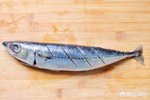 中国有什么好吃的海鱼，常见可食用的深海鱼都有哪些？