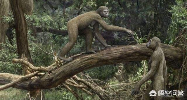 为什么会有雌雄同体的动物:为什么地球上的大多数生物只有两种性别？