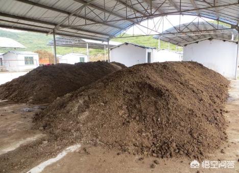 猪粪水怎么处理才能直接浇地