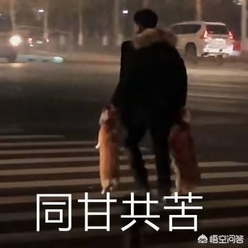 最近书荒,谁有好看到欲罢不能的书给推荐下,顺便说说推荐的理由？