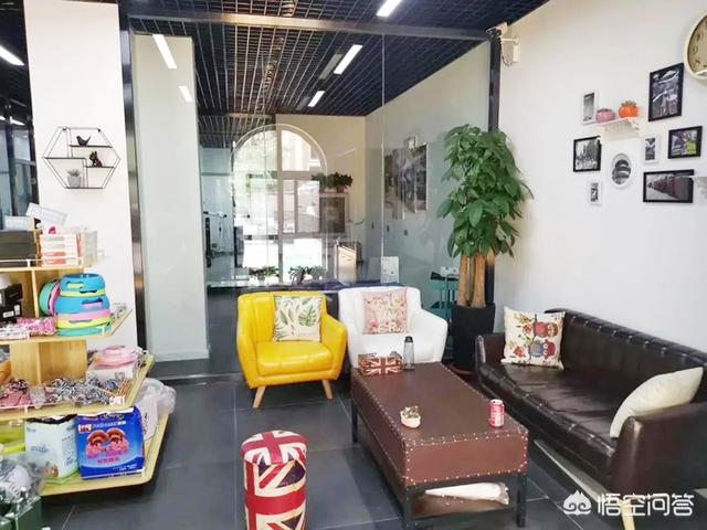 三线城市开个宠物店要多少钱:开个品牌宠物店需要多少钱呢？