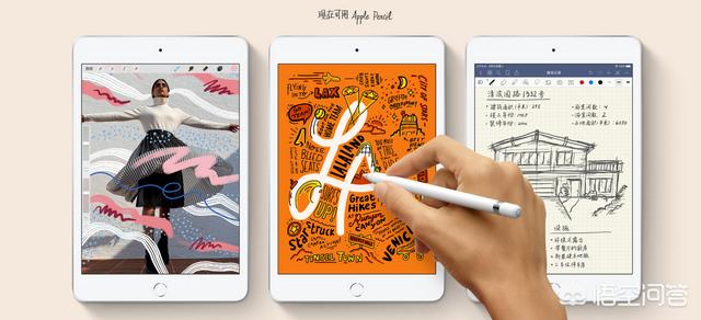 头条问答 Ipad Mini新款买64g的还是256g内存的好 表示必须要蜂窝版 科技金轩文的回答 0赞