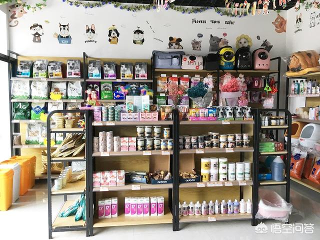 个人加盟宠物店加盟条件:开宠物店需要办理什么手续吗？