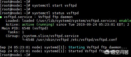 linux服务器建站教程:如何在Linux上搭建FTP服务器？