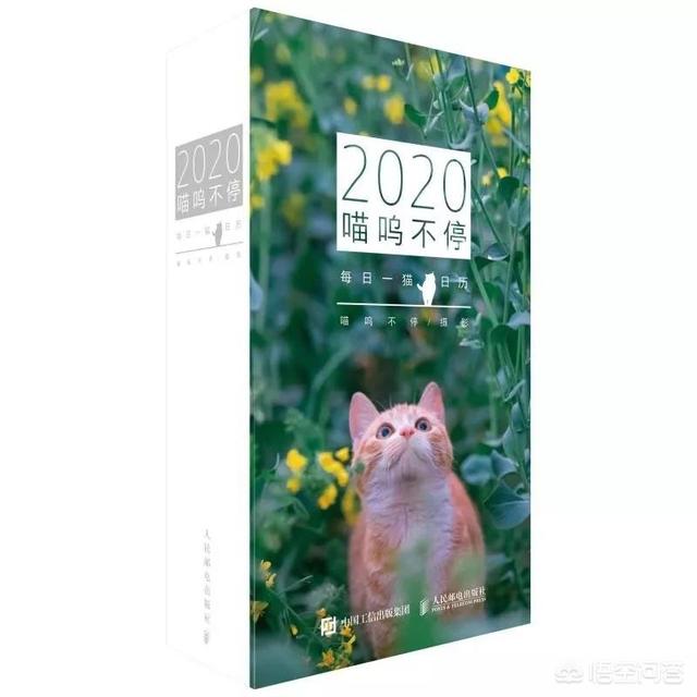 百变猫咪写真:撸猫啊，怎么给猫主子拍出萌萌哒照片？