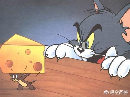 《猫和老鼠》中那种全是洞洞的奶酪叫什么名字，味道如何？插图3