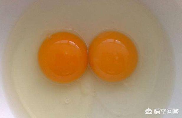 洋鸡蛋好还是土鸡蛋好洋鸡蛋一定比土鸡蛋更有营养吗