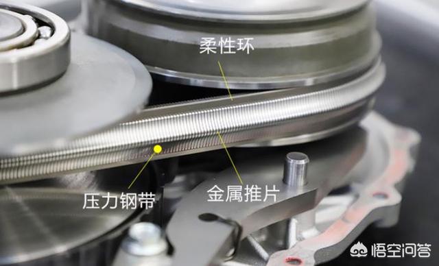 西施犬寿命近30天搜索趋势:CVT变速箱的寿命有多长？能跑到30万公里或使用15年吗？