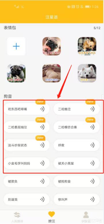 狗语言翻译机你知道我最恨什么么:有人知道狗狗的翻译器怎么用吗？