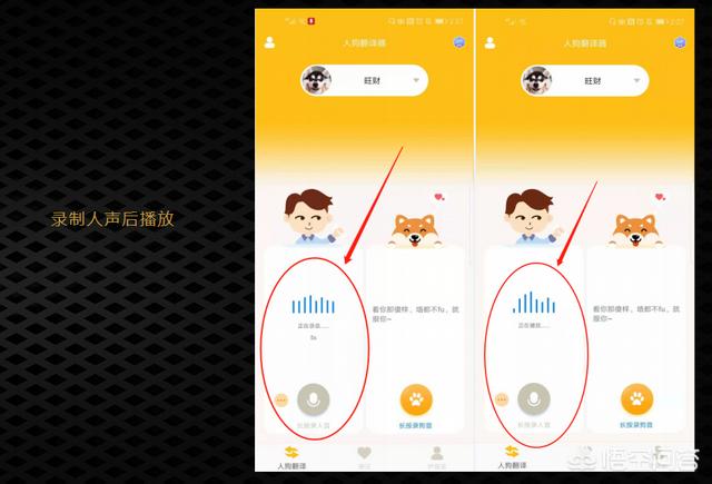 狗语翻译机:有没有什么翻译器能够知道狗狗在说什么？
