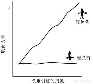 引体向上发力图解,引体向上要怎么练最有效？