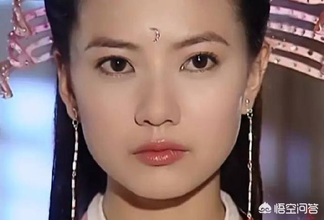 明教圣猫养育资格:张无忌的四个知己，你觉得哪一个最适合做他老婆？