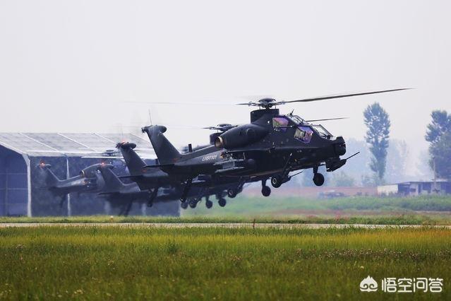 安第斯山猫图片:空中突击旅和普通陆航旅有何区别？