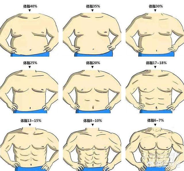 头条问答 男生体脂率多少最适合 158个回答