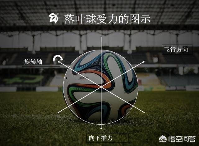 电梯球是什么意思(一文读懂落叶球和电梯球有什么区别,附教学视频!