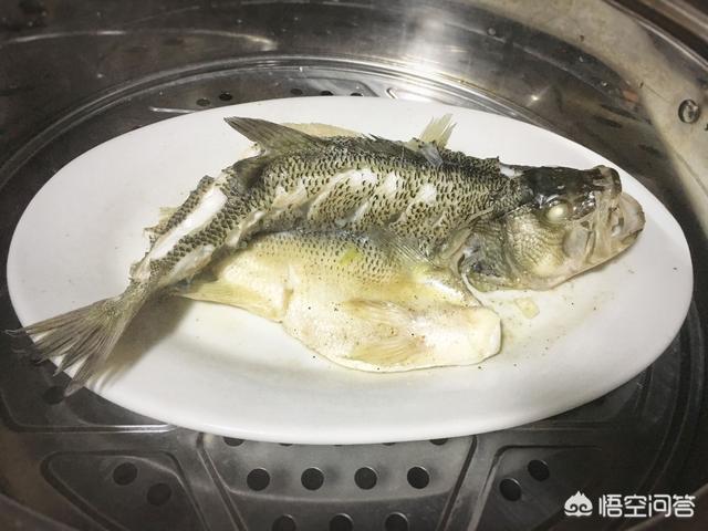 饭店的清蒸鲈鱼为啥那么好吃，清蒸鲈鱼要放盐吗，清蒸鲈鱼怎么做好吃？