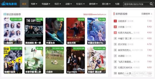 爱与狗同行电影迅雷下载:做影视领域的自媒体，电影在哪里下载才不会侵权呢，请教下大佬？
