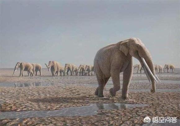 帕兰巨食人鱼:1000万年前的史前动物除了恐龙，都还有哪些