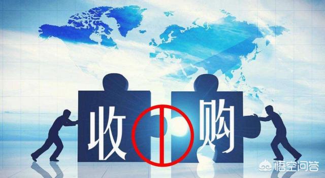 很多优质中国品牌,像徐福记小肥羊水井访近期的格力等,为什么最后被外国资本收购？