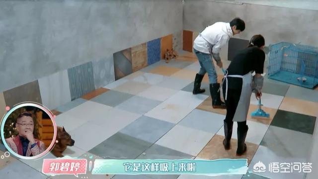 郭碧婷闺蜜是高晓松前妻:怎么看高晓松在直播中被留言辱骂这件事？