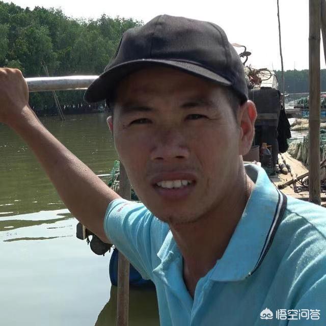 黄油小熊是谁:知道这个小熊叫什么名字吗？